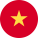 Wiki Tiếng Việt
